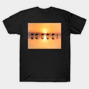 Travelling camels through desert sunset-nature T-Shirt